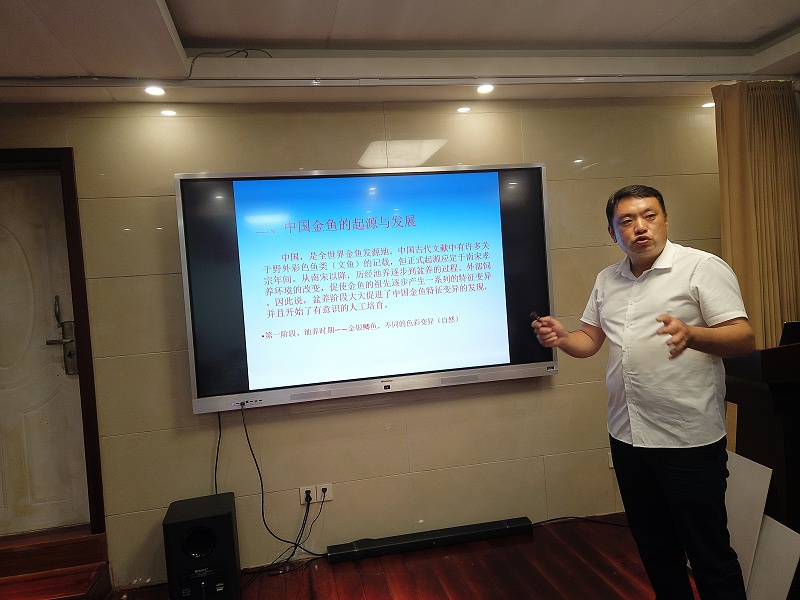 觀賞魚飼養專用菌類制劑