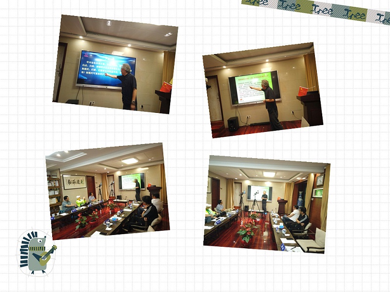 觀賞魚飼養專用菌類制劑