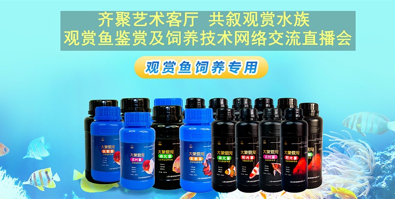 觀賞魚飼養專用菌類制劑