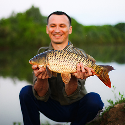 提高水產抵抗力
