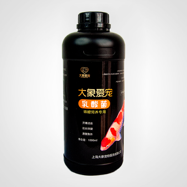 錦鯉-乳酸菌(1000ml) 錦鯉-乳酸菌(1000ml)