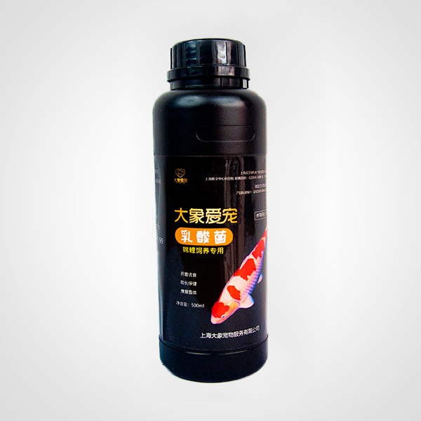 錦鯉-乳酸菌(500ml) 錦鯉-乳酸菌(500ml)