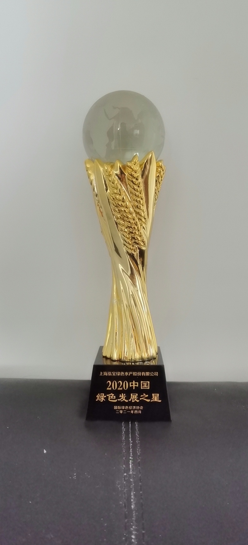6、上海泓寶榮獲2020中國(guó)綠色發(fā)展之星獎(jiǎng)杯