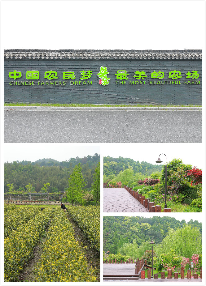 2、魯家村風景（合成）