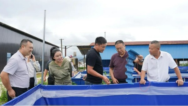 泓寶科技與西雙版納傣族自治州黎明農(nóng)場合作建設(shè)的水蛭養(yǎng)殖基地引起州林下經(jīng)濟協(xié)調(diào)機制辦公室調(diào)研組重點關(guān)注