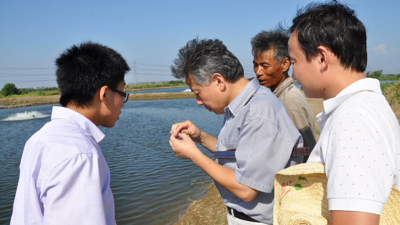 上海泓寶淺談微生態制劑的作用原理