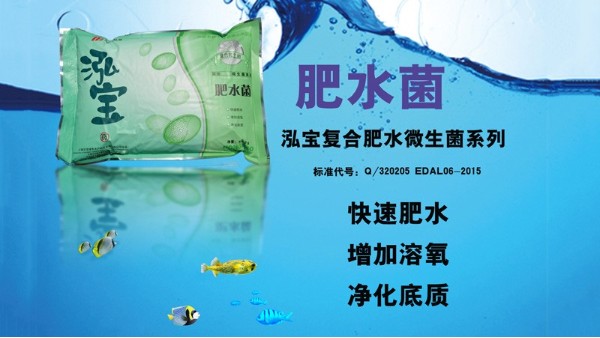 泓寶肥水菌的功效有哪些